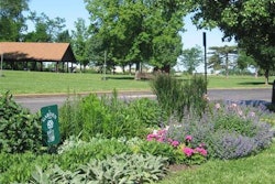 The Garden At Stacy Park Maintained By Olivette In Bloom credit Courtesy Of Olivette In Bloom1