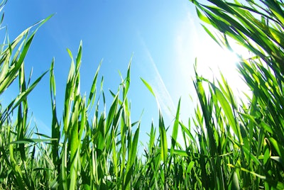 Shutterstock 117002755