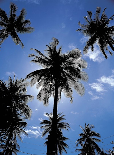 Shutterstock 117819130