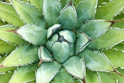 Shutterstock 18392674