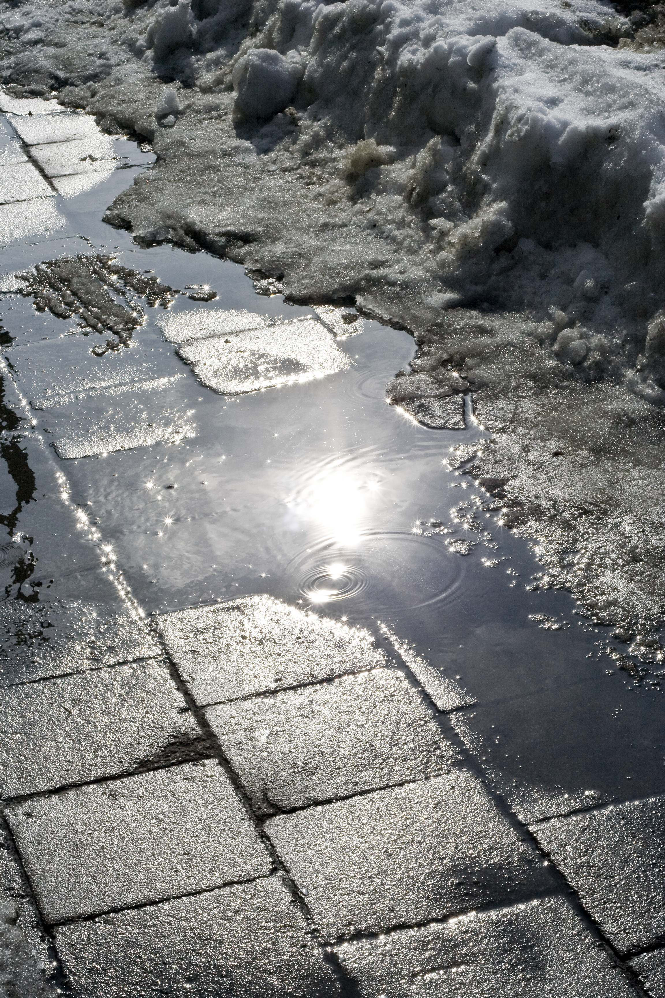 Shutterstock 47575378