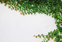 Shutterstock 90794765