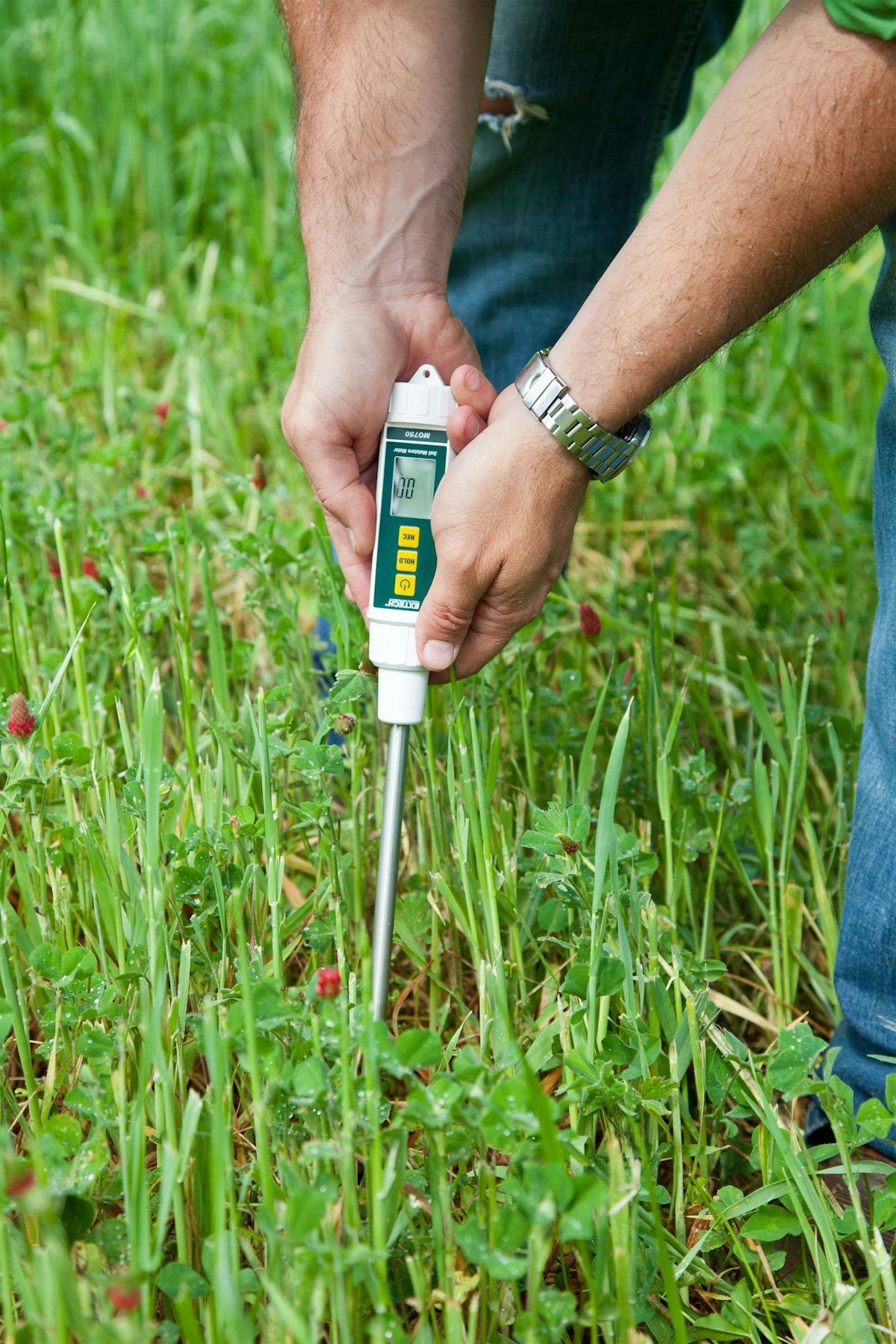 Extech soil moisture hot sale meter