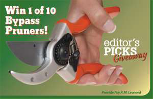 Tlc Ed Picks Giveaway Web Ad