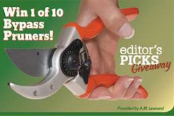 Tlc Ed Picks Giveaway Web Ad