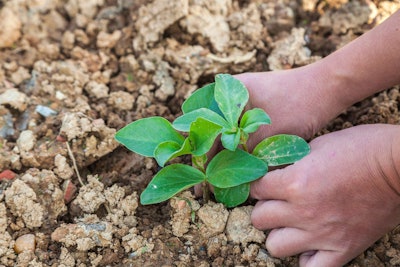 Shutterstock 121269421