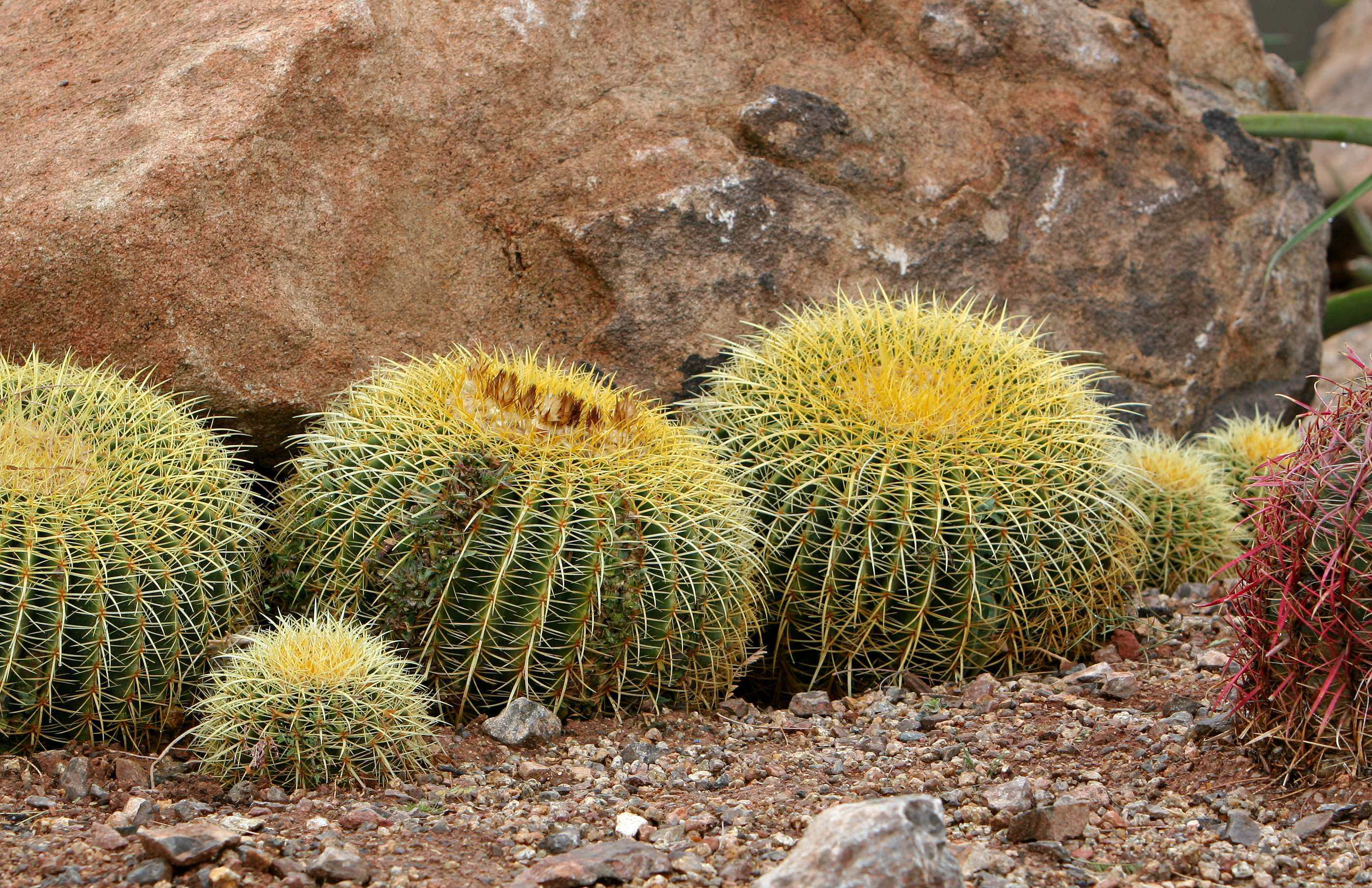 Shutterstock 1255688