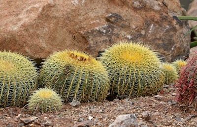 Shutterstock 1255688