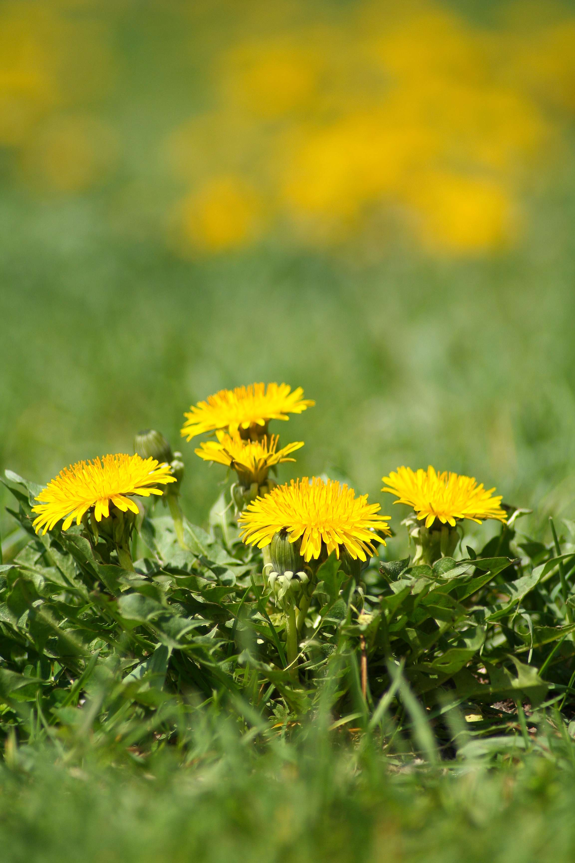 Shutterstock 50298577