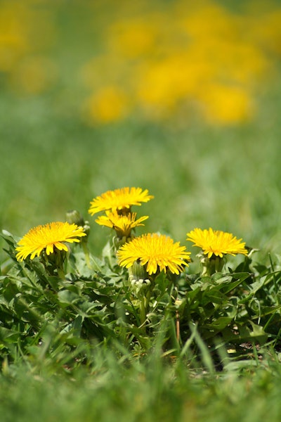 Shutterstock 50298577