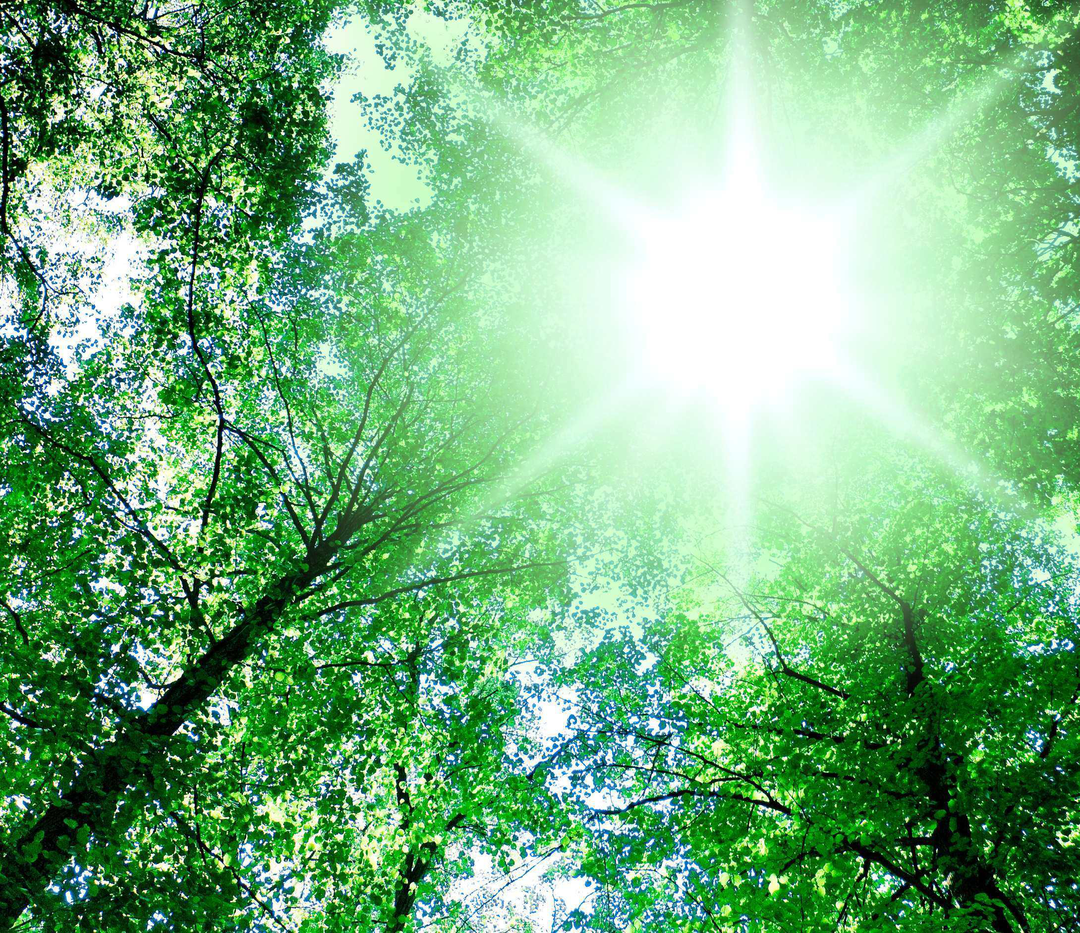 Beautiful, Functional Landscape