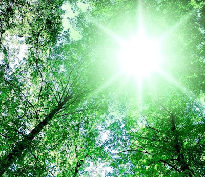 Beautiful, Functional Landscape