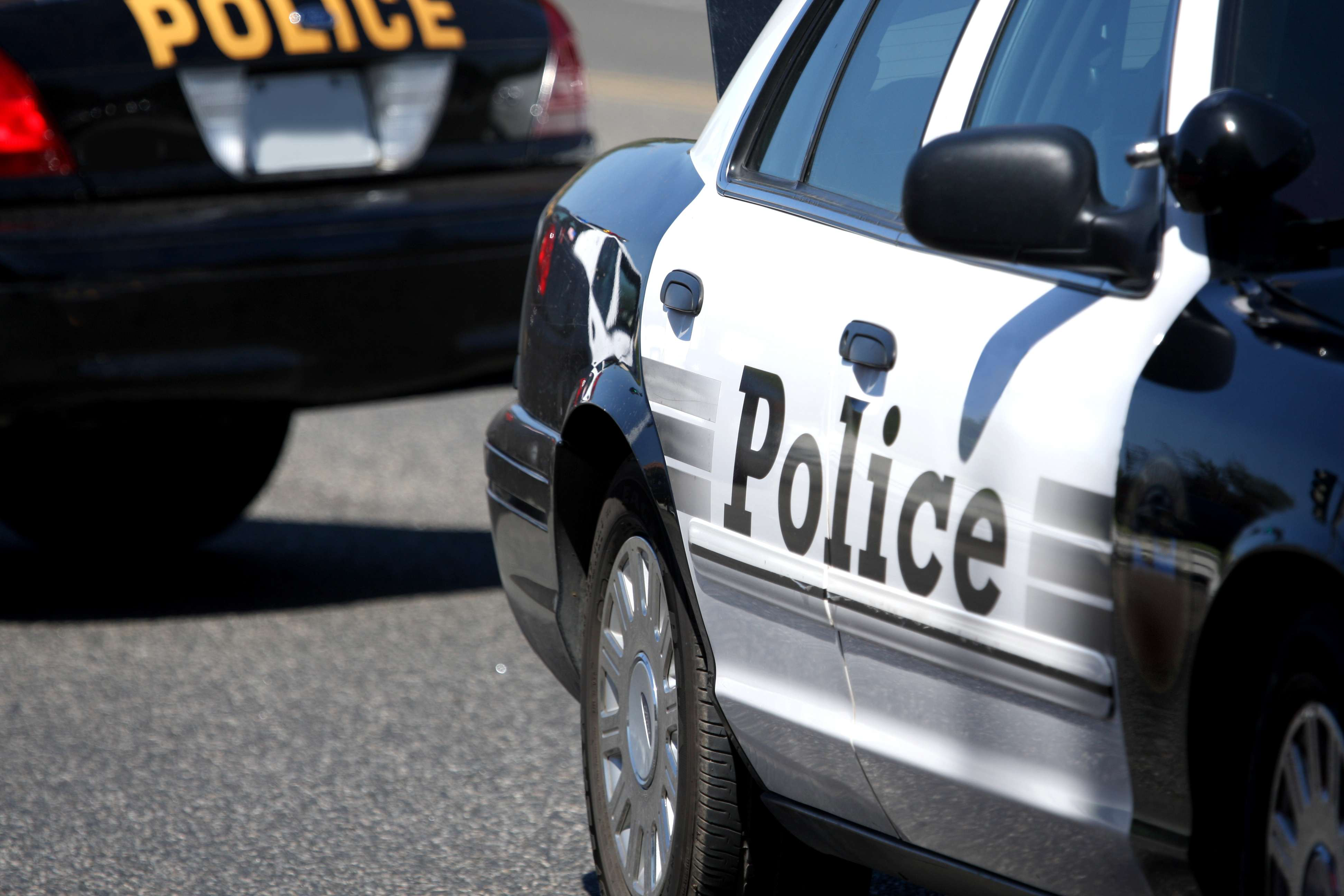 Shutterstock 6187819