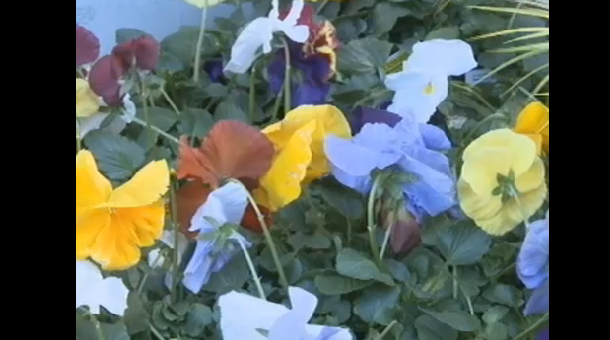 Screen Shot 2013-03-20 at 11.08.28 AM