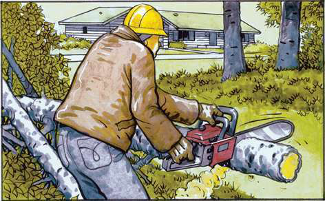 Chainsaw Safety