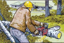 Chainsaw Safety
