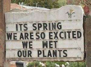 funny-spring-wet-plants-joke