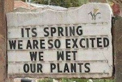 funny-spring-wet-plants-joke
