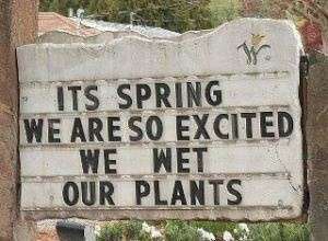 funny-spring-wet-plants-joke