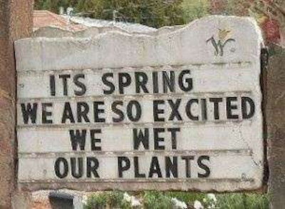 funny-spring-wet-plants-joke