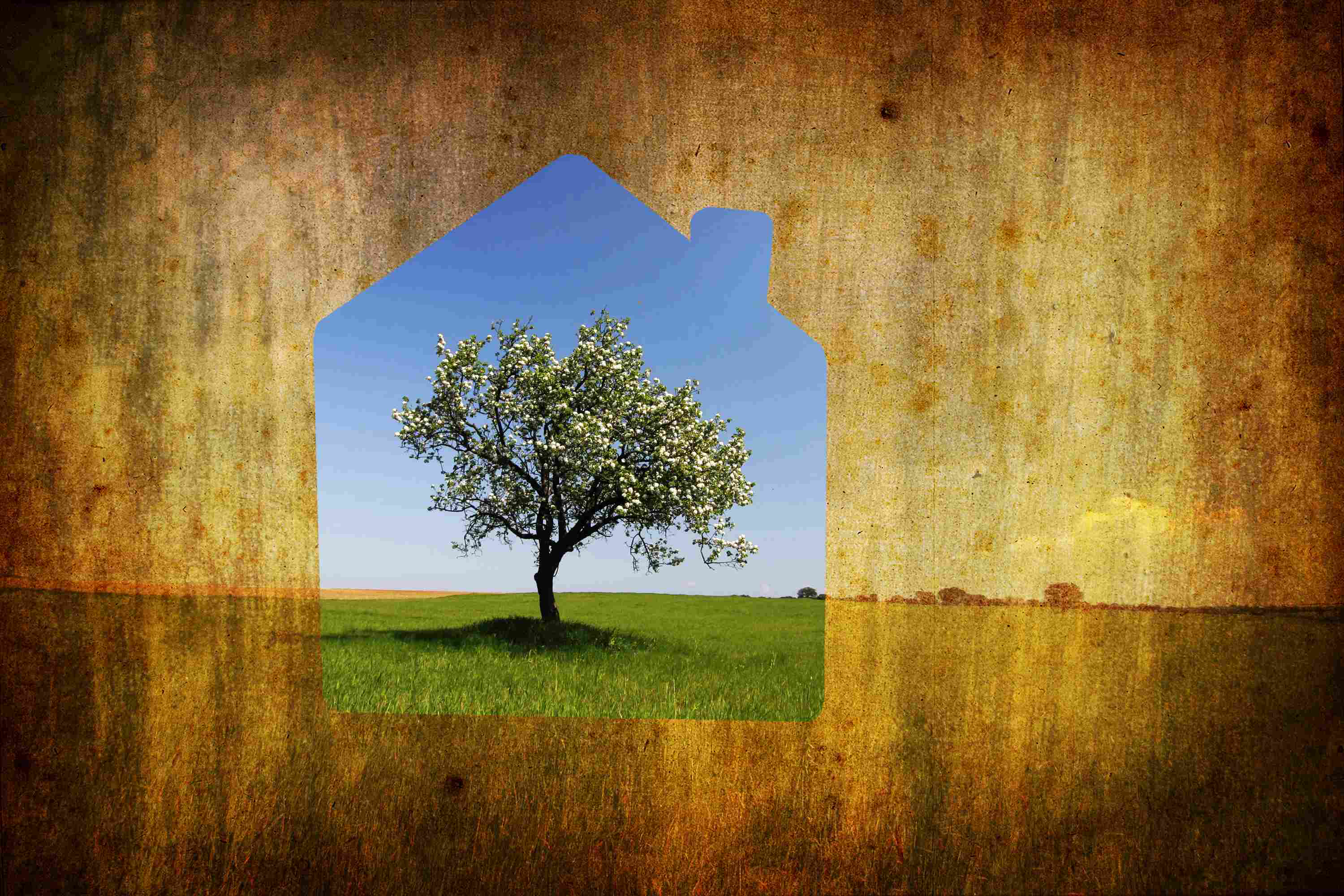 shutterstock_10718137