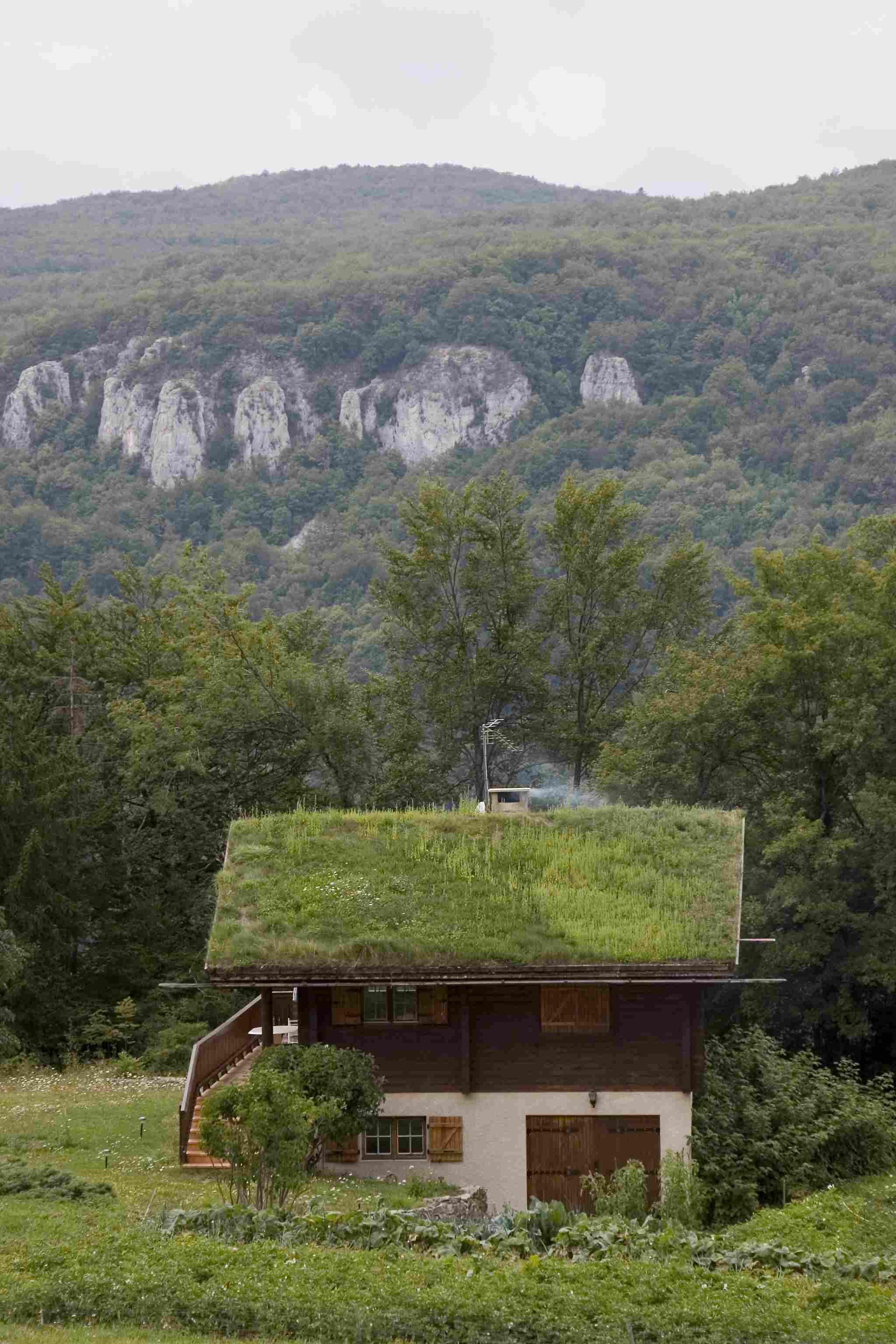 Green Roof