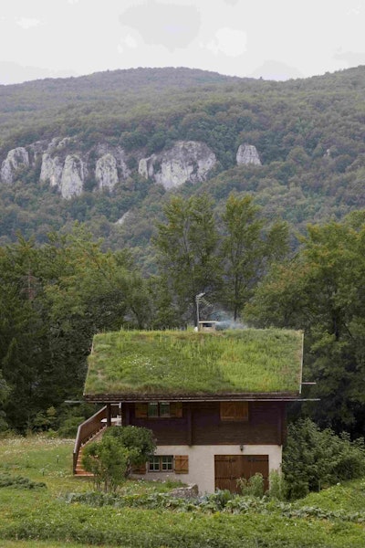 Green Roof