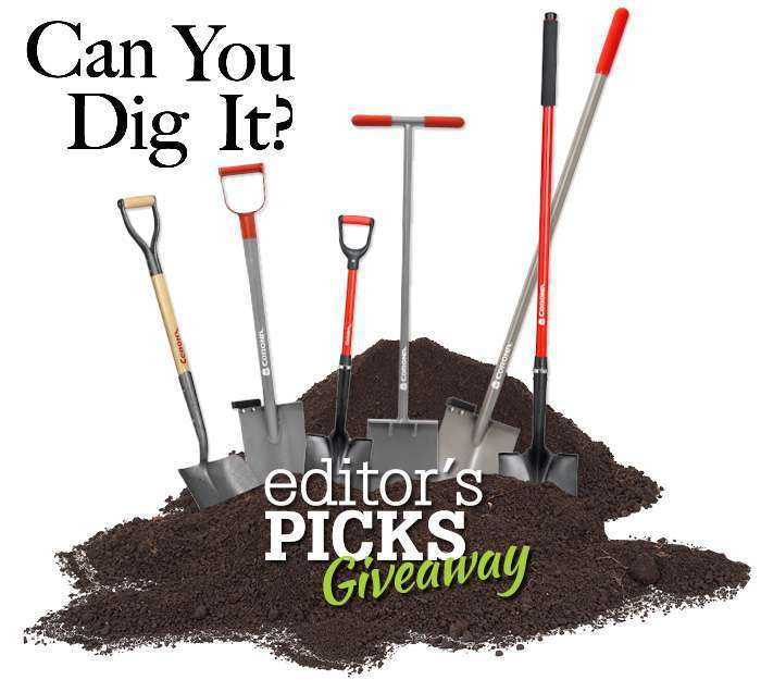 Corona_Web_Promo_Dig