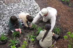 K&D Round helps children plant a wetland garden. Stihl teamed with the City of Virginia Beach Parks and Recreation and K & D Round’s Landscape Services to clean up and renovate Beach Garden Park in Virginia Beach, Virginia.