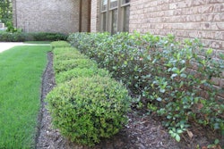Quality-Creative-Landscaping