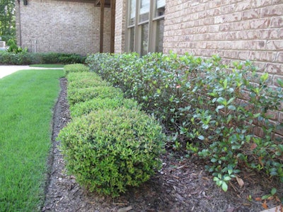 Quality Creative Landscaping