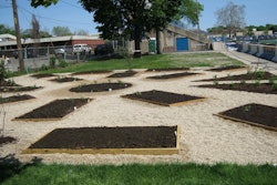 This project was installed at Riverside-Brookfield High School in Riverside, Illinois. Dig Right In Landscaping designed and installed 15 raised beds and guided three high school classes on how to plant vegetable seeds. The garden also consists of native pollinating perennials, annuals and grasses. A couple of shrubs provide food for birds. This year, the company looks forward to donating its time in coaching the school.