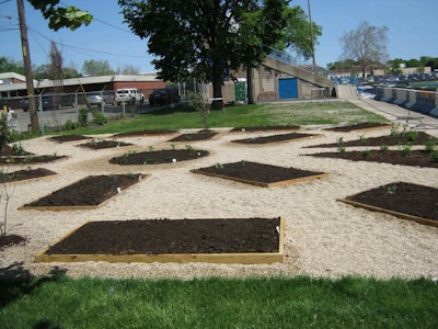 This project was installed at Riverside-Brookfield High School in Riverside, Illinois. Dig Right In Landscaping designed and installed 15 raised beds and guided three high school classes on how to plant vegetable seeds. The garden also consists of native pollinating perennials, annuals and grasses. A couple of shrubs provide food for birds. This year, the company looks forward to donating its time in coaching the school.