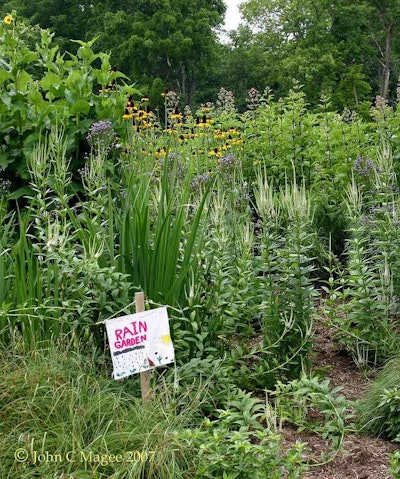 Magee Design built this rain garden for a private school in Boyce, Virgina.