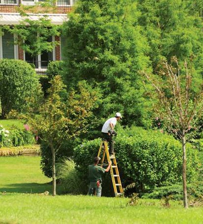 landscapers_ladder