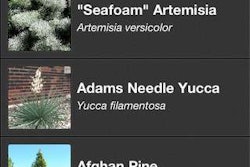 Southwest Plant Selector