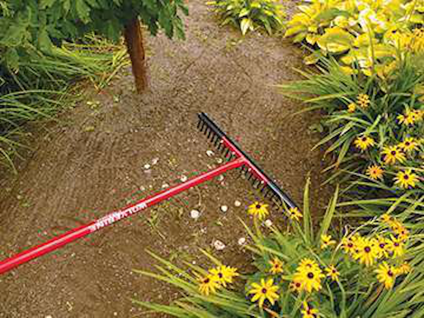 Get Your Hands on These New Tools | Total Landscape Care