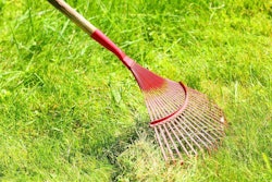 shutterstock_103712555-1024×848