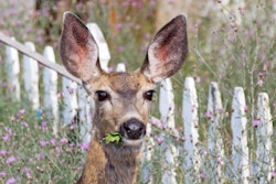 shutterstock_112317812-1024×794