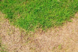 shutterstock_117226033-1200×795