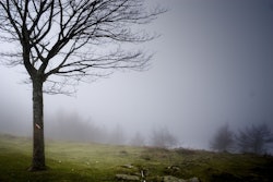 shutterstock_122868862