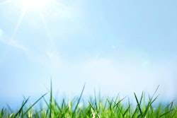 shutterstock_75234670