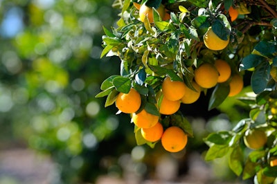 shutterstock_85693048