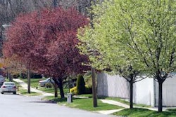 Photo Credit: Staten Island Advance File Photo