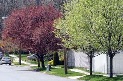 Photo Credit: Staten Island Advance File Photo