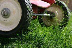 6 Spring Landscaping Tips