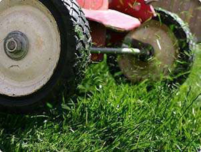 6 Spring Landscaping Tips
