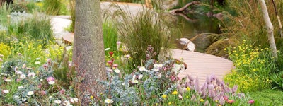 Chel_19_05_2013_1191_Trailfinders_ROT