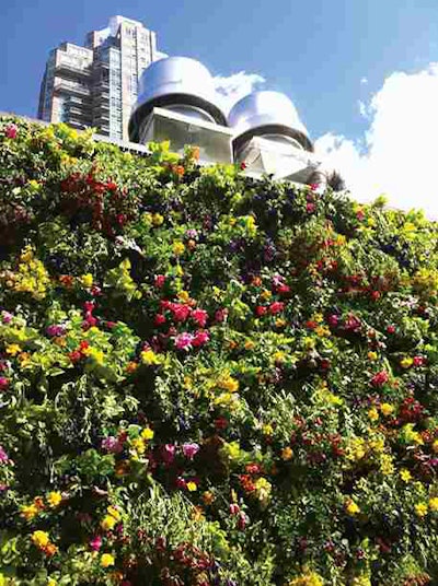 Kokobo_Project_Photo03