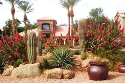 One finalist, Xeriscapes Unlimited, from TLC’s Landscaper of the Year program specializes in xeriscaping.